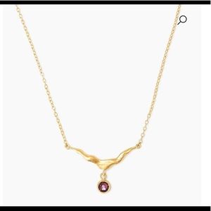 Chan luu february birthstone necklace